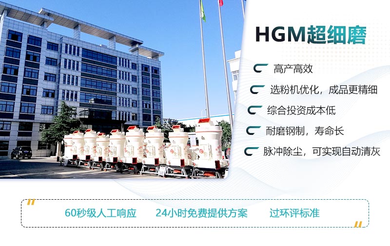 HGMϸĥ